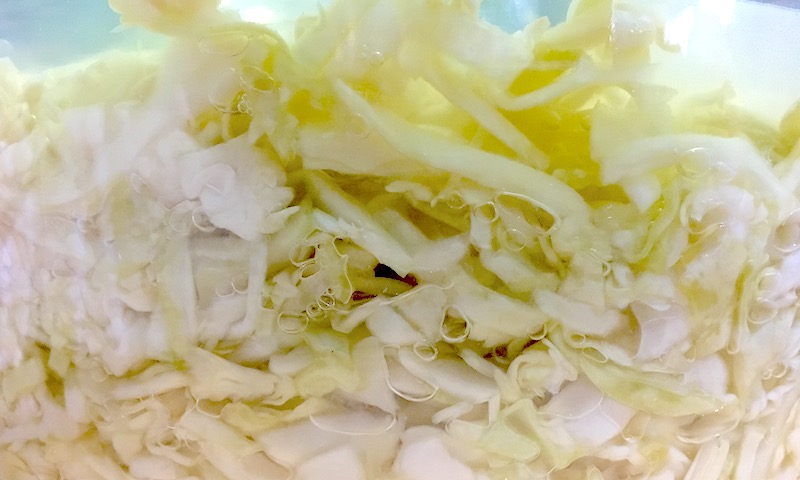http://goodstuffnw.com/images/2022/sauerkraut_fermentation.jpg